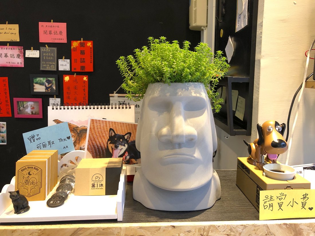 環境